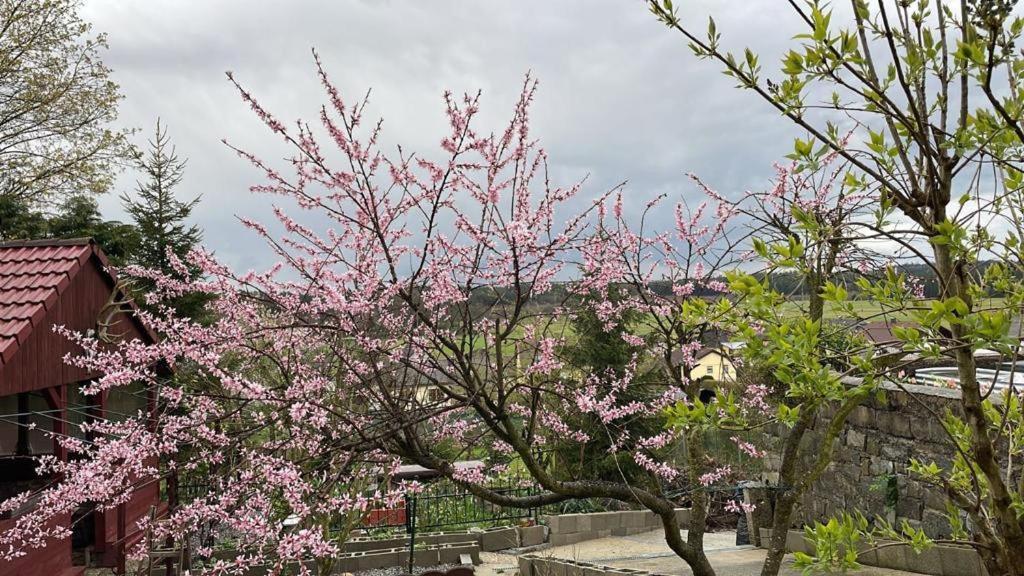 Appartamento Freinestwaldviertel Hoheneich Esterno foto